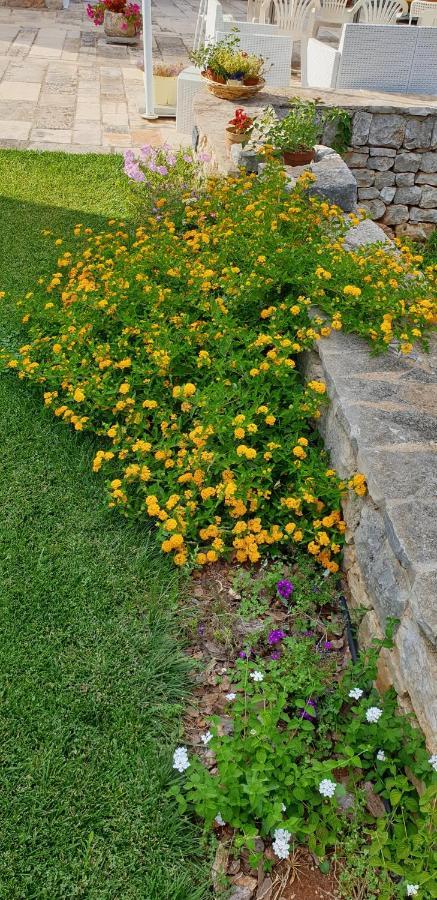 Bed and Breakfast Balice Antica Dimora Monopoli Esterno foto